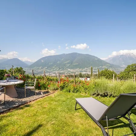 Pinot Merano